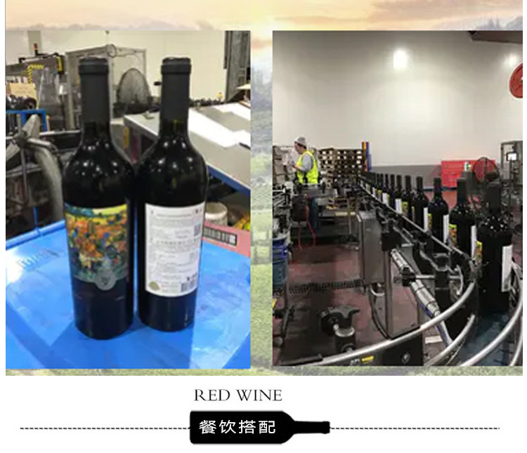 【智利原瓶进口】杰西斯藤韵25干红葡萄酒 聚会送礼佳品 750ml