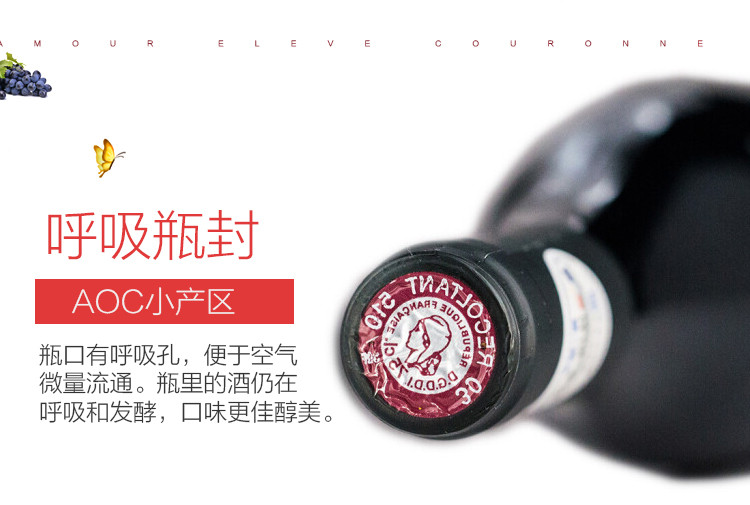 【法国原瓶原装进口红酒】圣尚·朱丽叶·红蝴蝶干红葡萄酒750ml*1 (村庄级AOC)