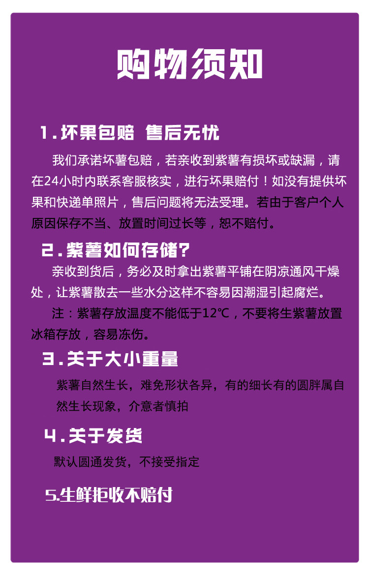 云南高山现挖现发紫薯 无丝软糯