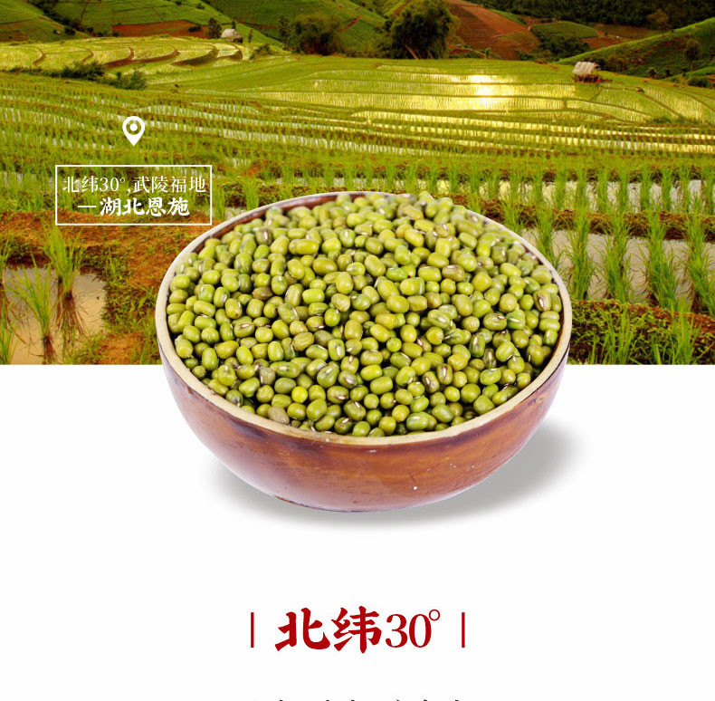 【来凤扶贫馆】恩施高山五谷杂粮绿豆350g*3袋