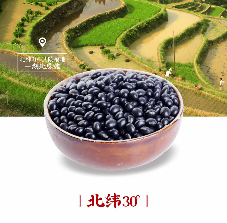 【来凤扶贫馆】恩施高山五谷杂粮黑豆350g*3袋