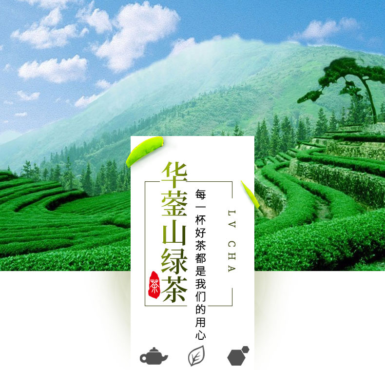 农家自产 中国松树下高山绿茶华蓥山绿茶50g