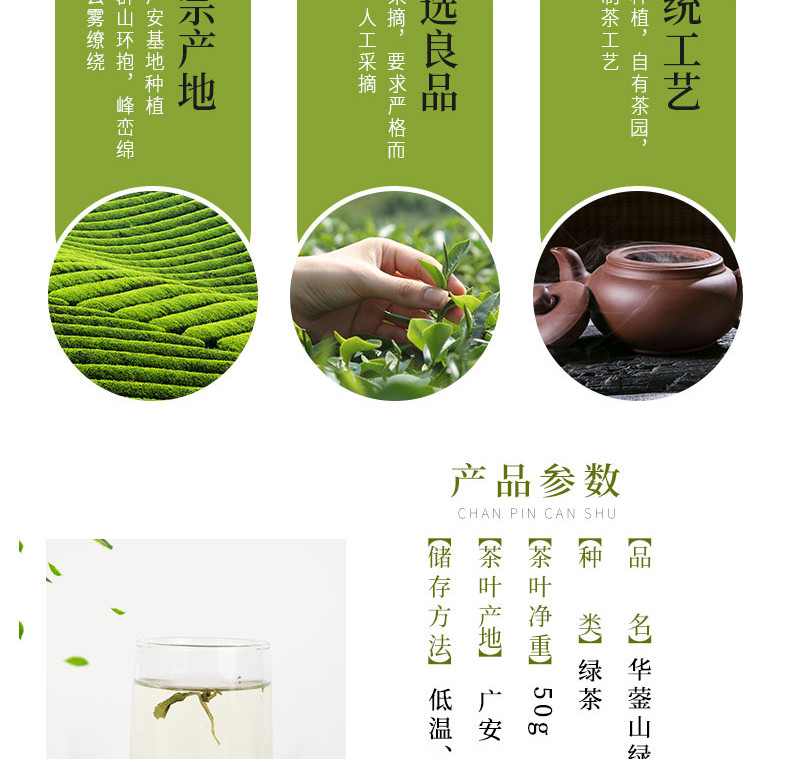 农家自产 中国松树下高山绿茶华蓥山绿茶50g