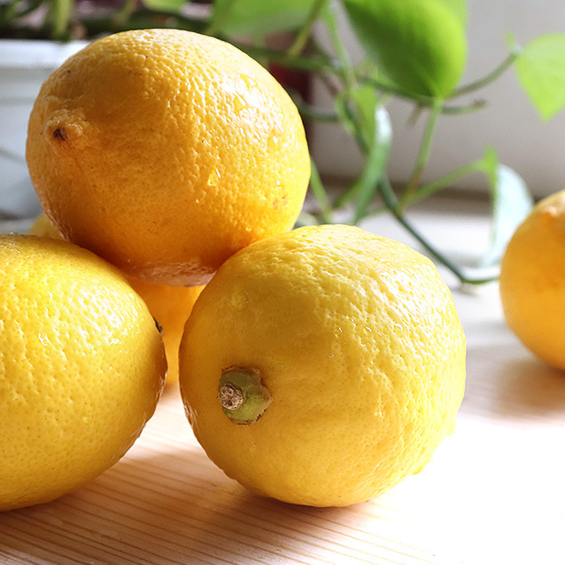 农家自产 【会员享实惠】广安白马柠檬黄柠檬绿色A级黄柠檬（坏果包赔）