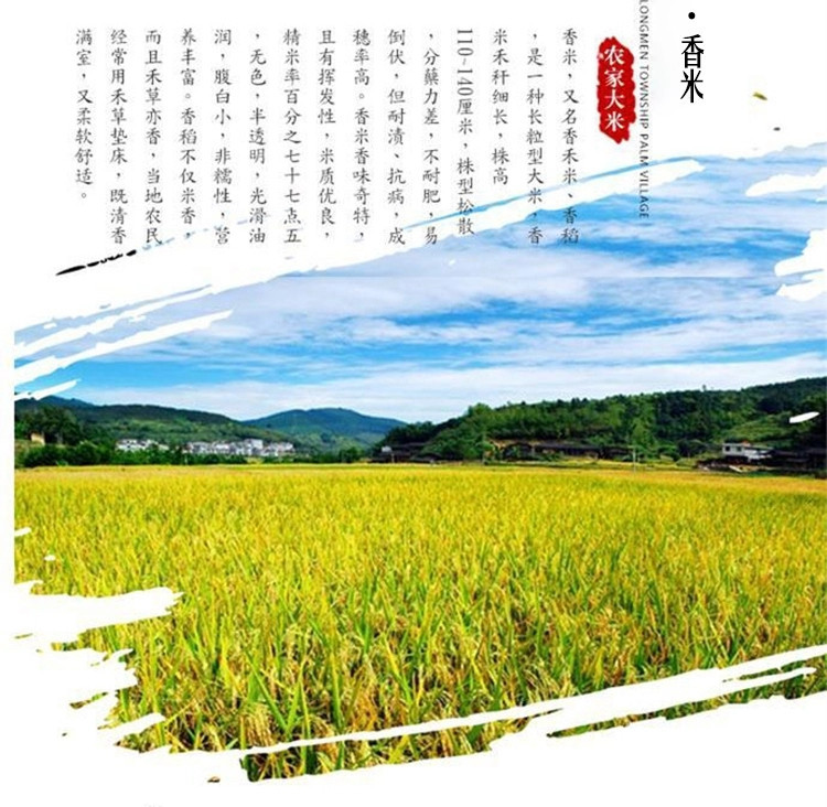 金盘池 邻水黄泥再生稻大米长粒香大米5斤2023年新米 真空包装
