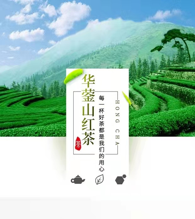 广安松针 森林雨广安红华蓥山红茶纯手工红茶50g