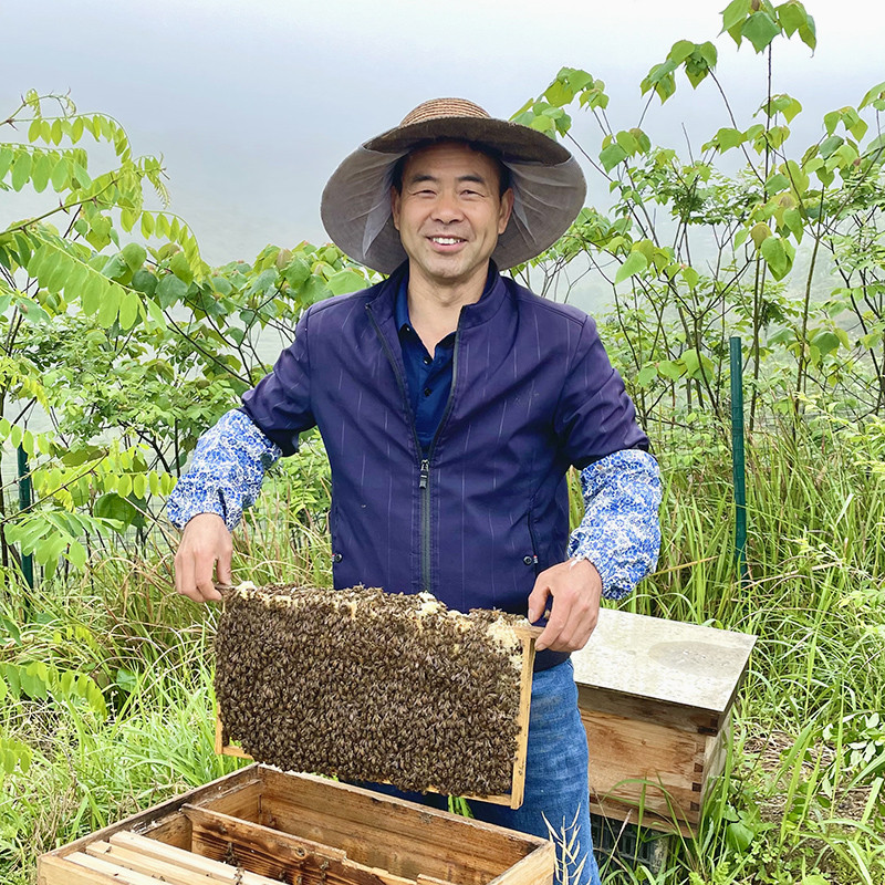 包德安 【会员享实惠】深山天然农家百花蜂蜜无添加250g
