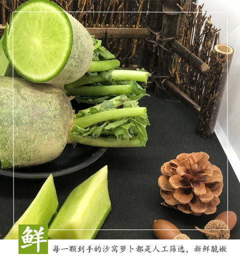 【拼购】正宗沙窝新鲜蔬菜非萝卜种子水果萝卜青萝卜生吃甜脆5 斤