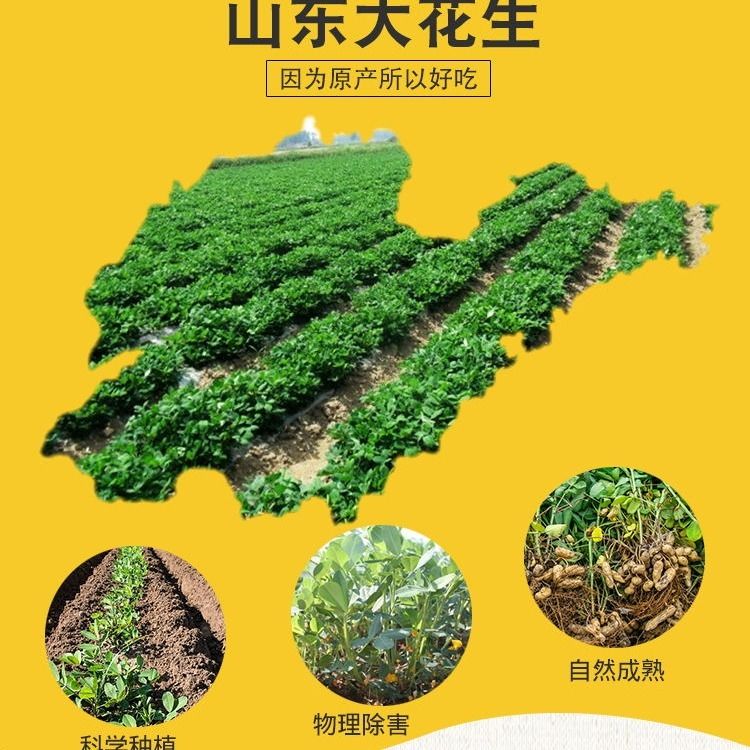 【邮乐专享特卖】新炒五香花生米蒜/奶香散装休闲零食炒货脱壳熟花生米