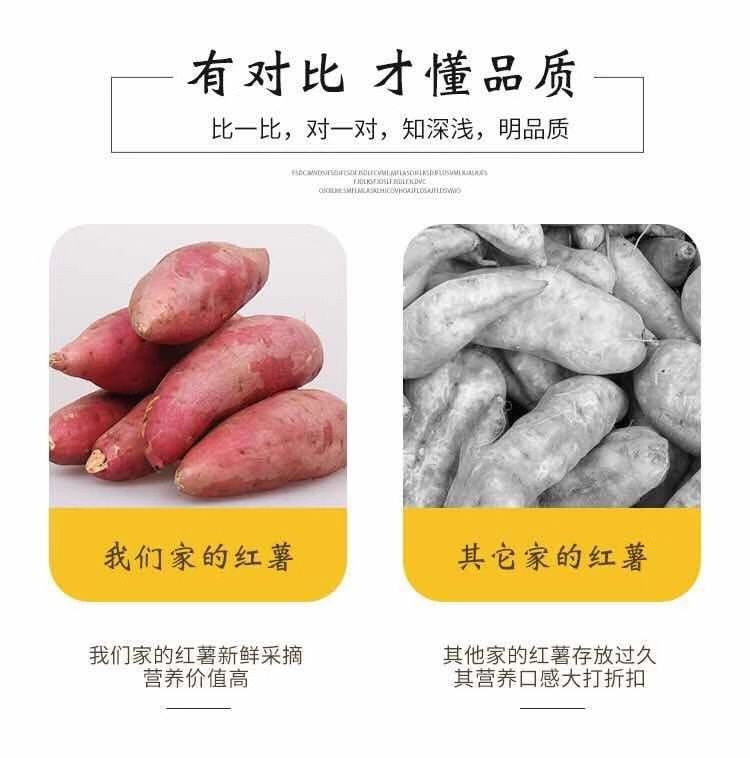 【香甜软糯】广东西瓜红蜜薯精选红薯新鲜番薯地瓜蔬菜批发5/10斤