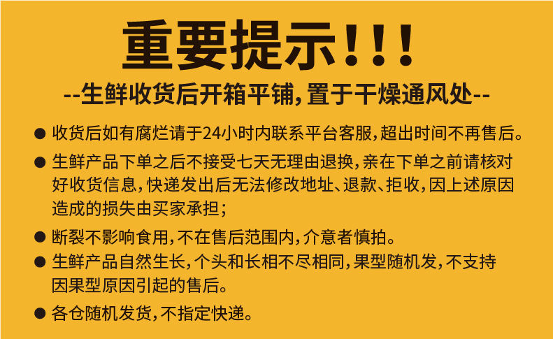 山东沙地甜红薯地番薯新鲜山芋批发糖心蜜薯烟25农家现挖烤地瓜