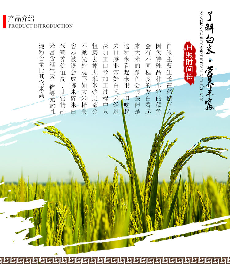 【10斤新米】限时优惠东北大米批发新米白米生态白米圆粒米大米