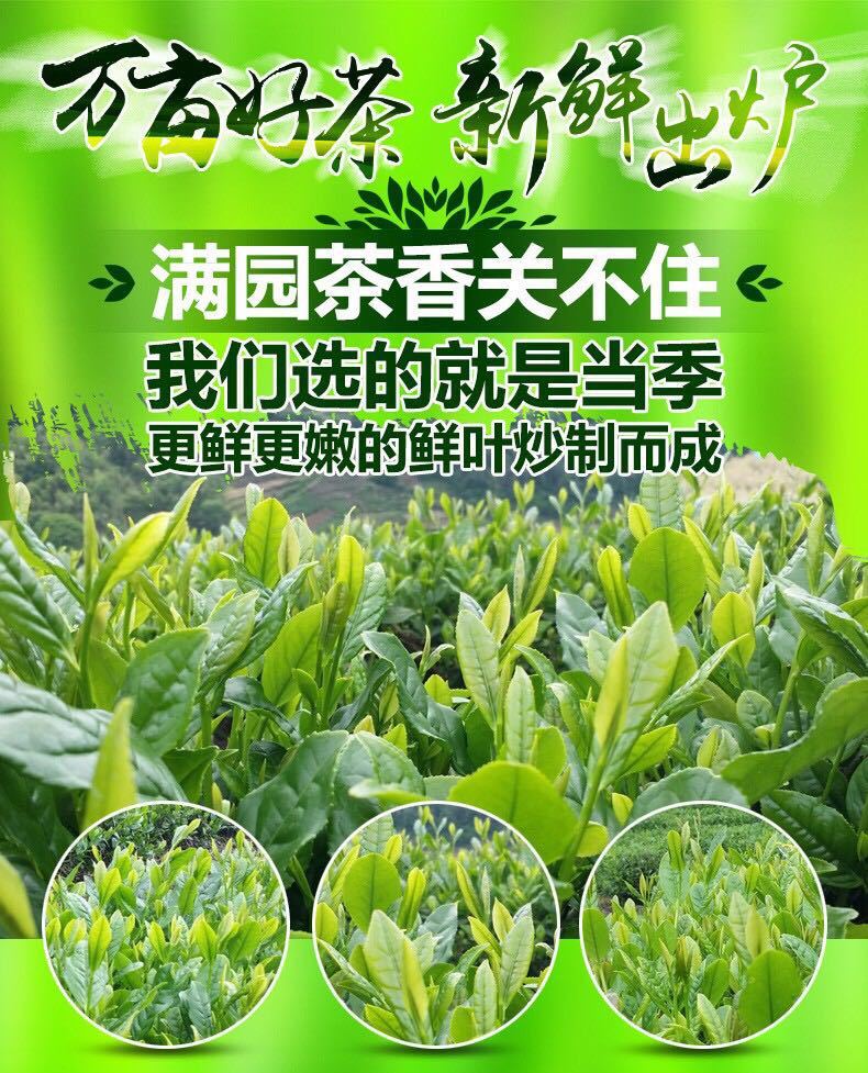 500g信阳毛尖茶叶日照绿茶浓香耐泡,包邮