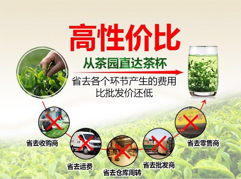 500g信阳毛尖茶叶日照绿茶浓香耐泡,包邮