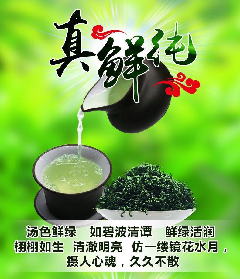 500g信阳毛尖茶叶日照绿茶浓香耐泡,包邮