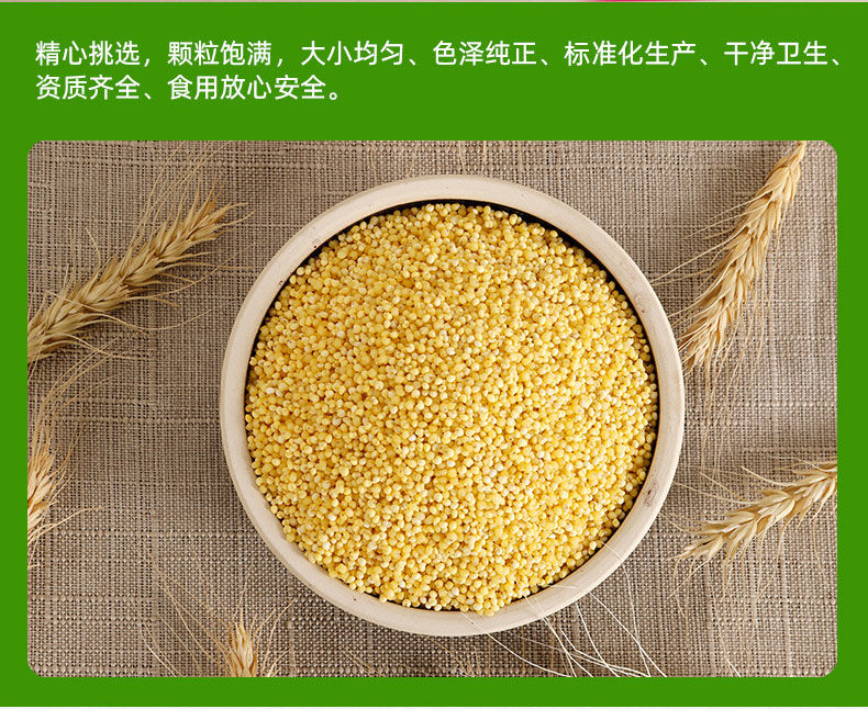 东北粘大黄米5斤农家粘糯大黄米黄小米包粽子米粘米饭米新米黍米