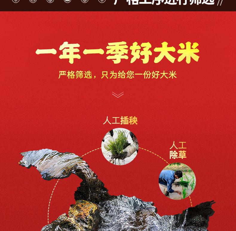 【活动促销10斤装】2020年新米东北大米10斤圆粒米寒地大米东北特产农家新米香米