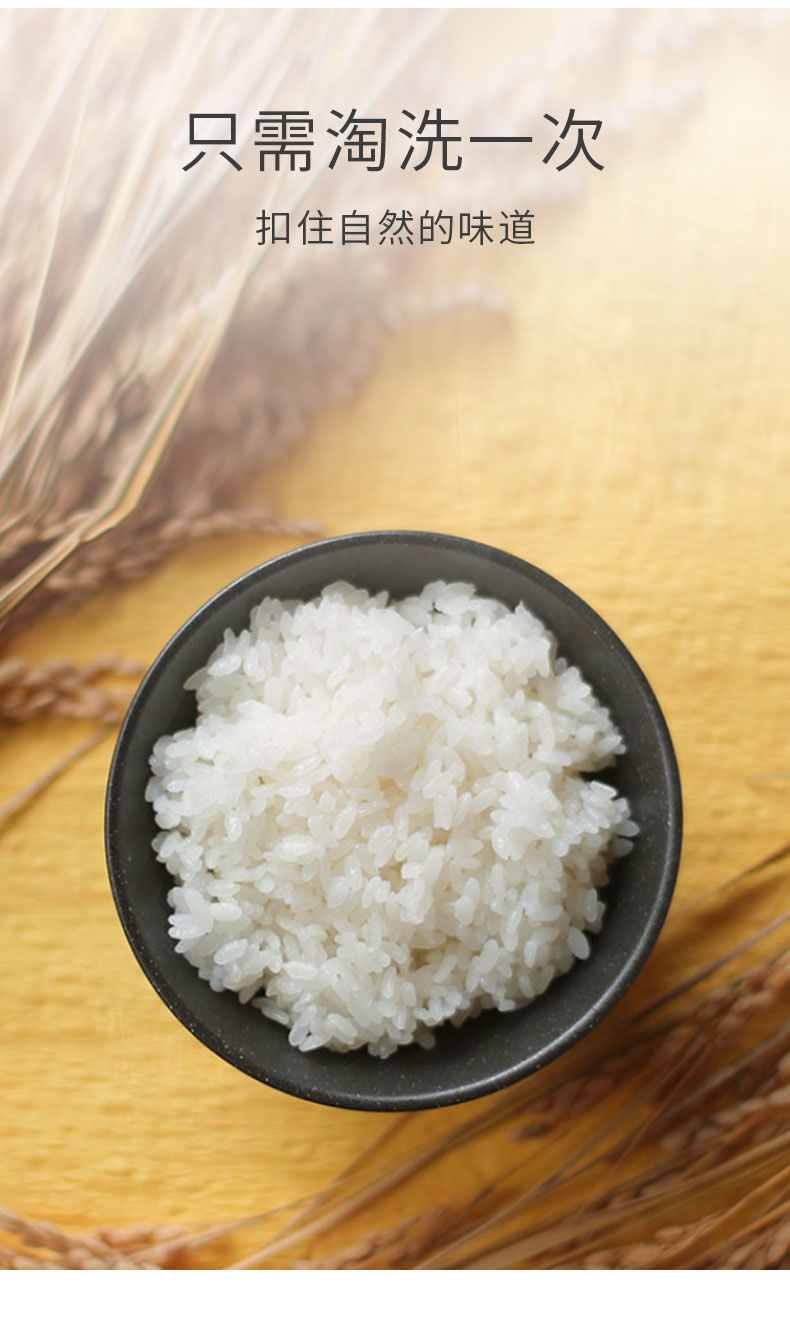 浓乡悠谷真空包装小米砖新米大米500g大米批发价吃的珍珠米粗米饭【严选优品】