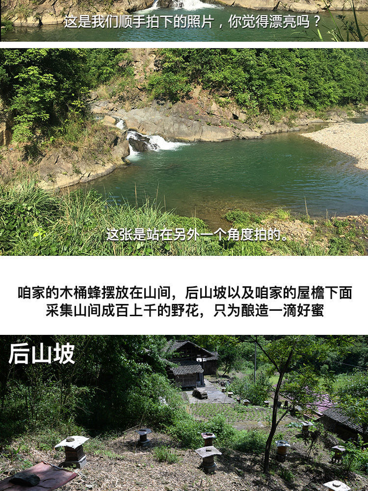 【买1送1】深山木桶蜜野生土蜂蜜正品传统农家自产纯正天然蜂蜜【量稻美食】