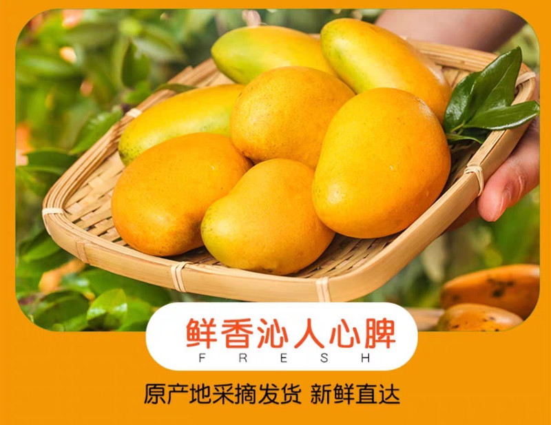 【精品】海南小台农芒果新鲜水果小台芒小芒果整箱批发