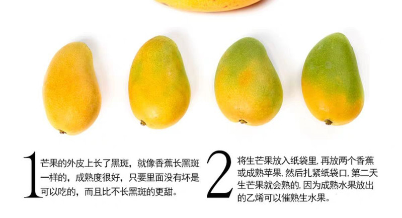 【精品】海南小台农芒果新鲜水果小台芒小芒果整箱批发