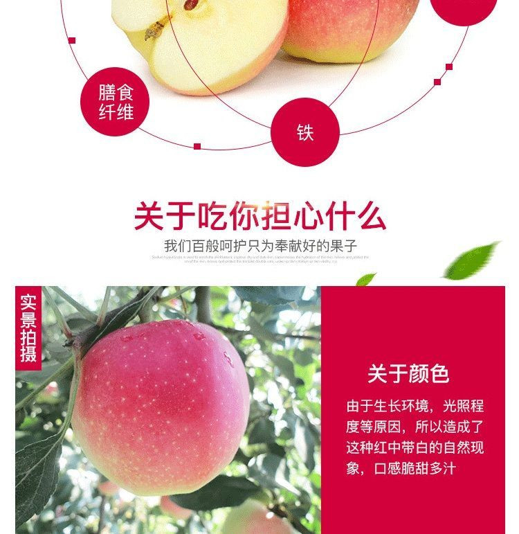 【我们只卖新鲜】当季陕西嘎啦苹果10/5/3斤水果新鲜嘎啦果整箱青苹果孕妇萍果批发