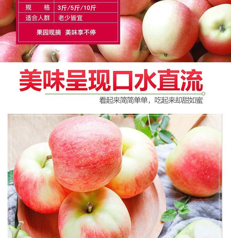【我们只卖新鲜】当季陕西嘎啦苹果10/5/3斤水果新鲜嘎啦果整箱青苹果孕妇萍果批发