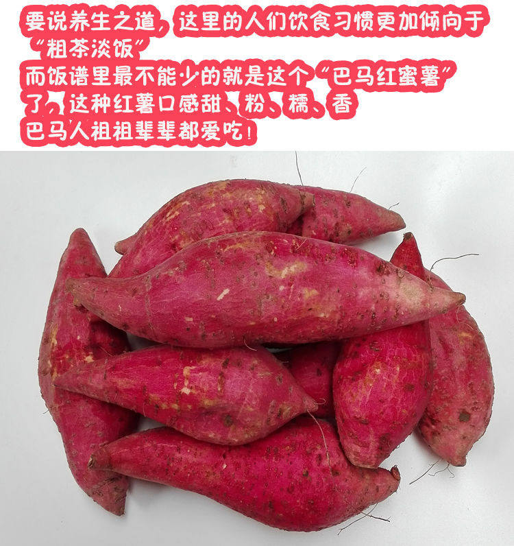 我们只卖好番薯【长寿之乡】广西巴马 红蜜薯 新鲜红薯 自家种植番薯 红心地瓜