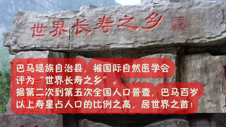 【正宗沙地西瓜红蜜薯】10斤糖心红薯新鲜蜜薯3斤现挖沙地红薯地瓜番薯山芋板栗红薯批发