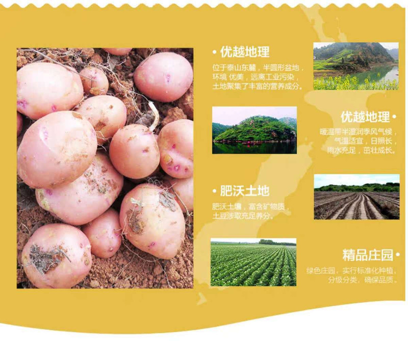 【农家自种】大中小现挖红皮土豆2020年新鲜云南高原马铃薯整箱装农家自种洋芋