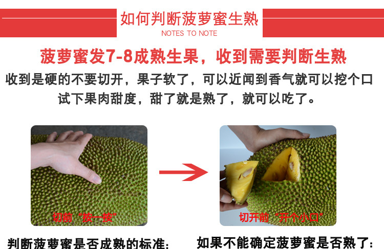 【今日特卖】海南新鲜水果菠萝蜜波罗蜜果型特大饱满特香爆甜果肉Q弹 送刀具