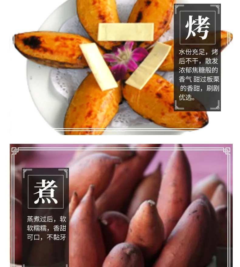 【抢抢抢】新鲜红薯沙地-黄皮黄心薯地瓜软糯香甜蜜薯5斤/10斤批发番薯