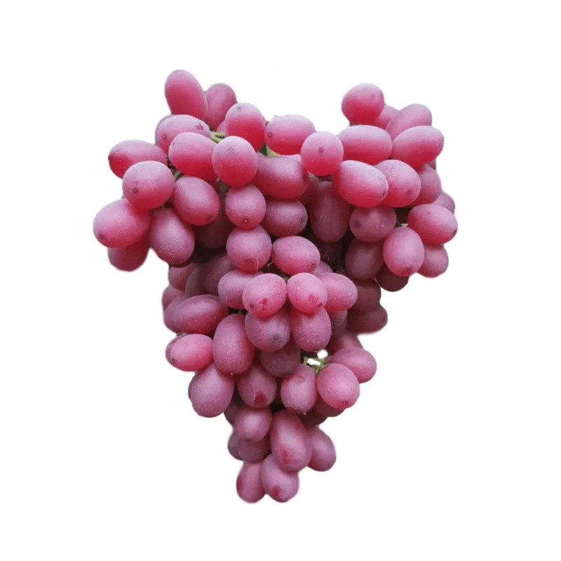 【运城红提】当季红提子无籽克伦生葡萄新鲜水果红宝石冰美人葡萄