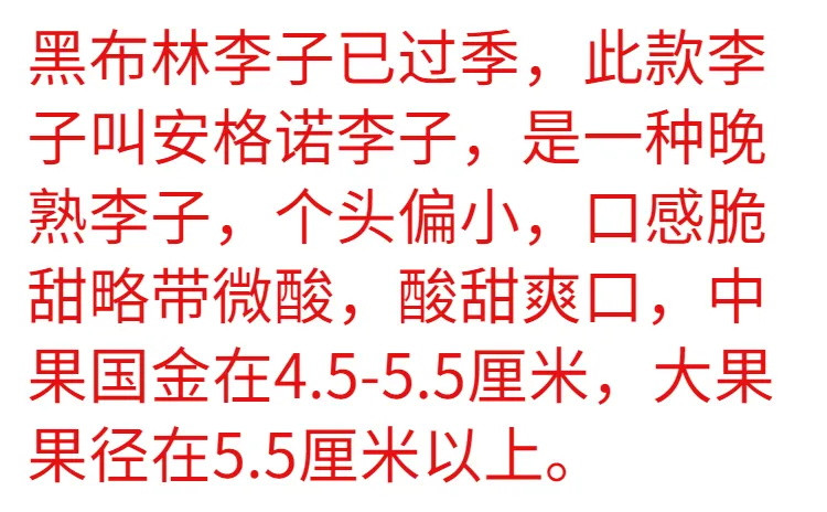 回购率超高的-当季新鲜李子水果安格诺李子非黑布林李子西梅新鲜水果四川李子脱骨李子