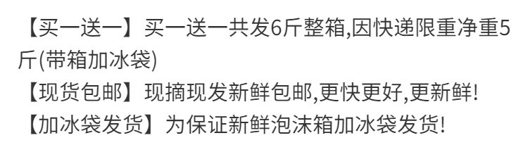 【顺丰包邮】圣女果小西红柿新鲜樱桃小番茄蔬菜当季现摘新鲜水果