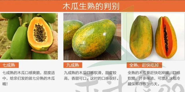 【已抢90万件】广西红心木瓜3斤/5斤/9斤果500-1500g新鲜水果木瓜