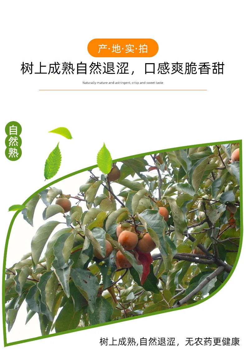 【到手即吃】	陕西脆柿子水果新鲜10斤脆甜整箱1斤甜硬应季黄柿子