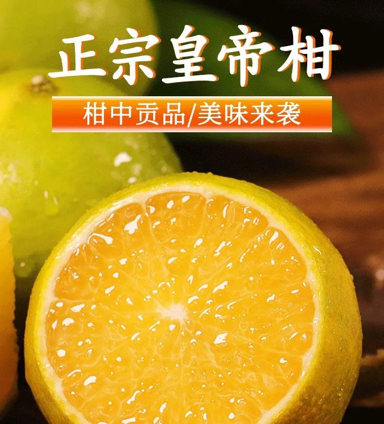 【皮薄纯甜】广西正宗皇帝柑薄皮贡柑应当季新鲜水果非沃柑砂糖橘