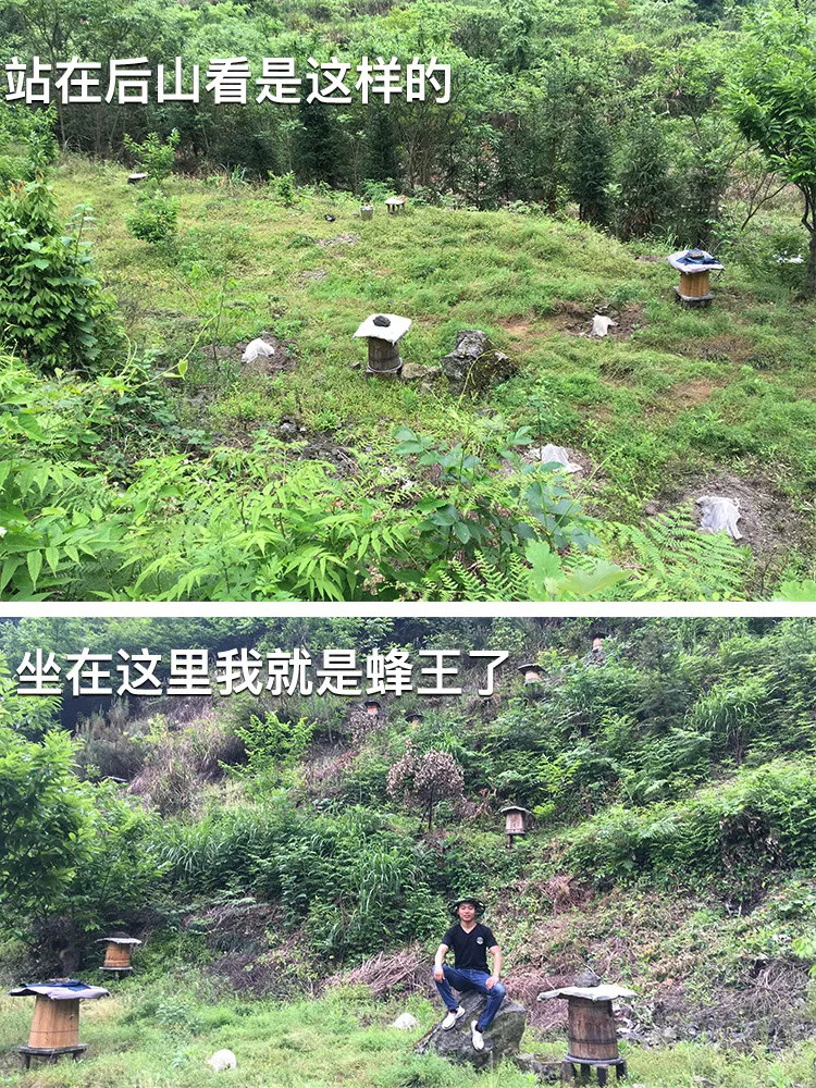 【买1送1】深山木桶蜜野生土蜂蜜正品传统农家.自产纯正天然蜂蜜