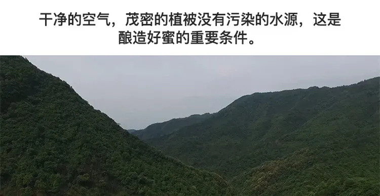 【买1送1】深山木桶蜜野生土蜂蜜正品传统农家.自产纯正天然蜂蜜