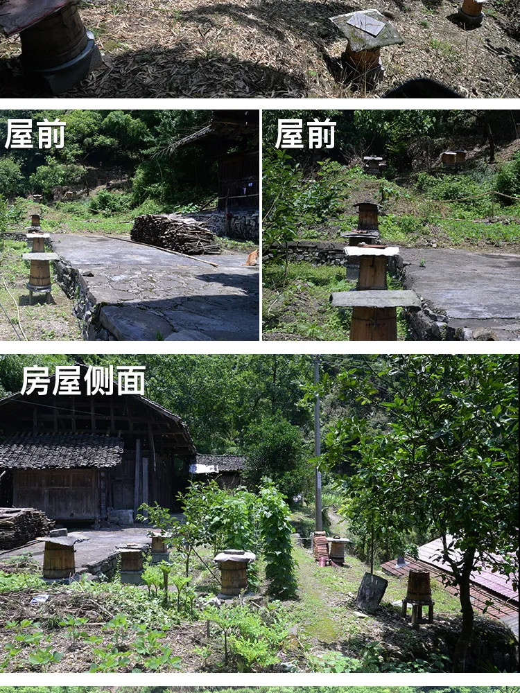 【买1送1】深山木桶蜜野生土蜂蜜正品传统农家.自产纯正天然蜂蜜