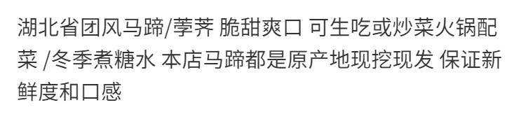 新鲜马蹄湖北特产水果蔬菜当季现挖直发饽荠农家自种孛荠5斤包邮