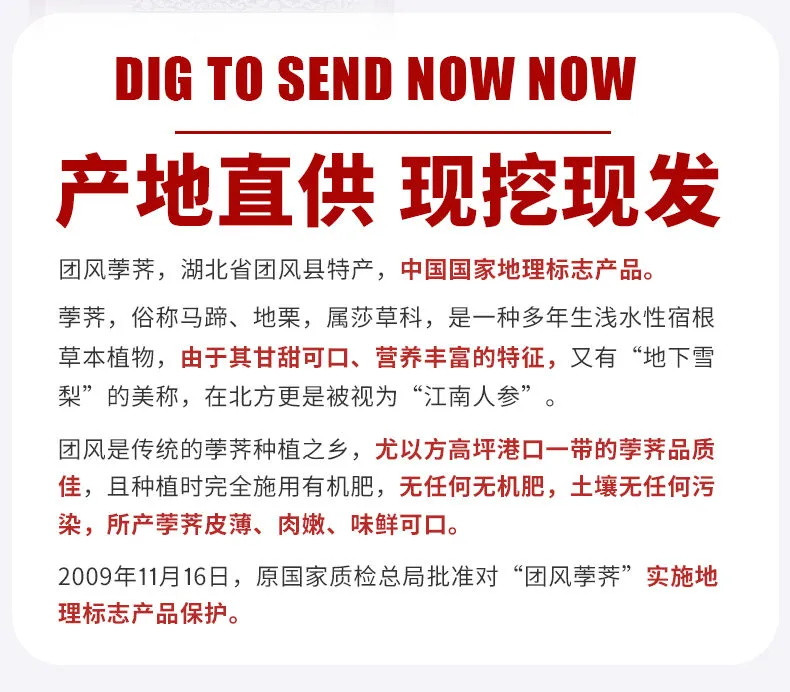 新鲜马蹄湖北特产水果蔬菜当季现挖直发饽荠农家自种孛荠5斤包邮