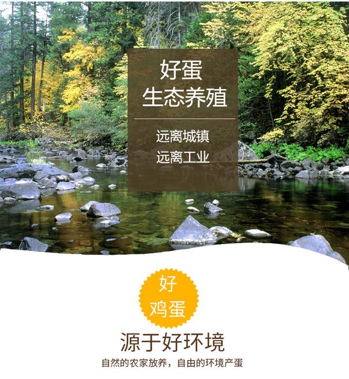 【预售】【50枚新鲜农家土鸡蛋】50枚长寿之乡家鸡蛋 散养正宗农家鸡蛋 新鲜土鸡蛋 宝宝蛋 笨鸡蛋