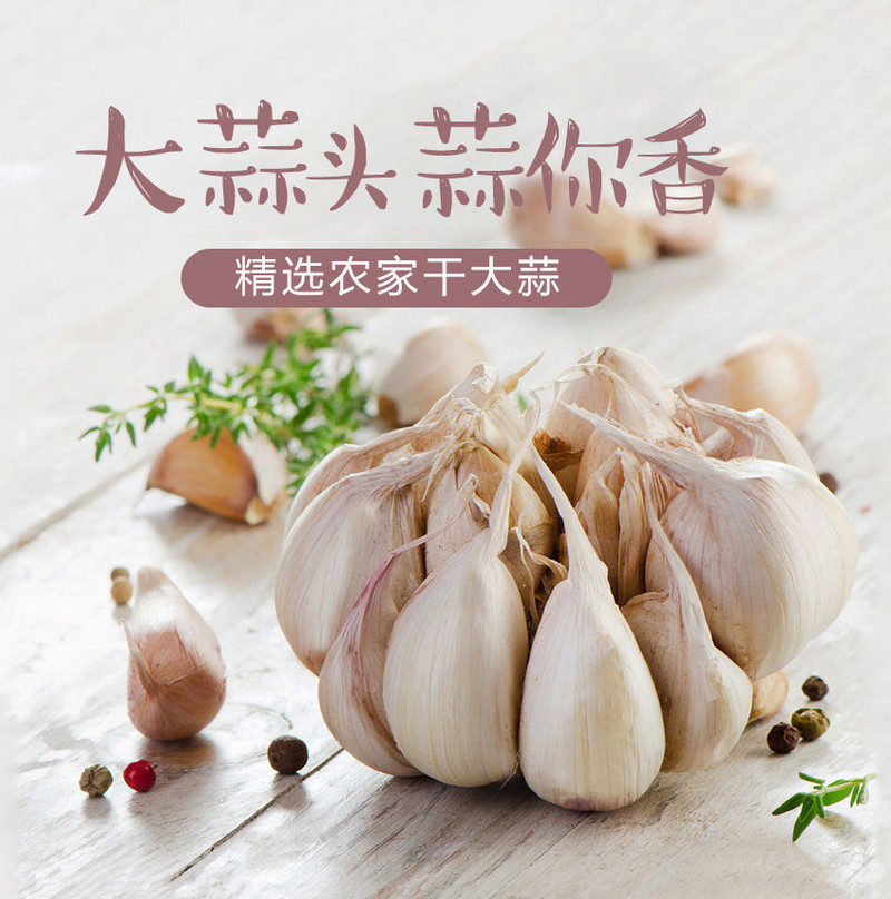 【预售】【买3斤送2斤】 5斤装大蒜 新大蒜 干蒜 蒜头 紫白皮大头蒜 家用炒菜蒜头 大蒜