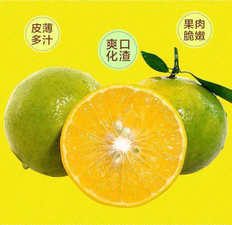 【预售】【5斤送5斤带箱9.5-10斤精品果】新鲜水果 当季柑橘 薄皮橘子 桔子 贡柑 沃柑