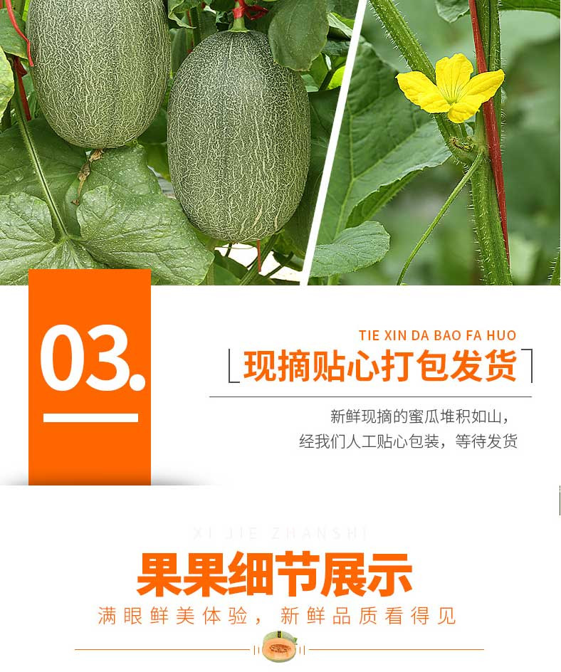 【48小时内发货】海南哈密瓜网纹瓜香甜蜜瓜新鲜一箱水果整箱当季包邮5斤应季特产