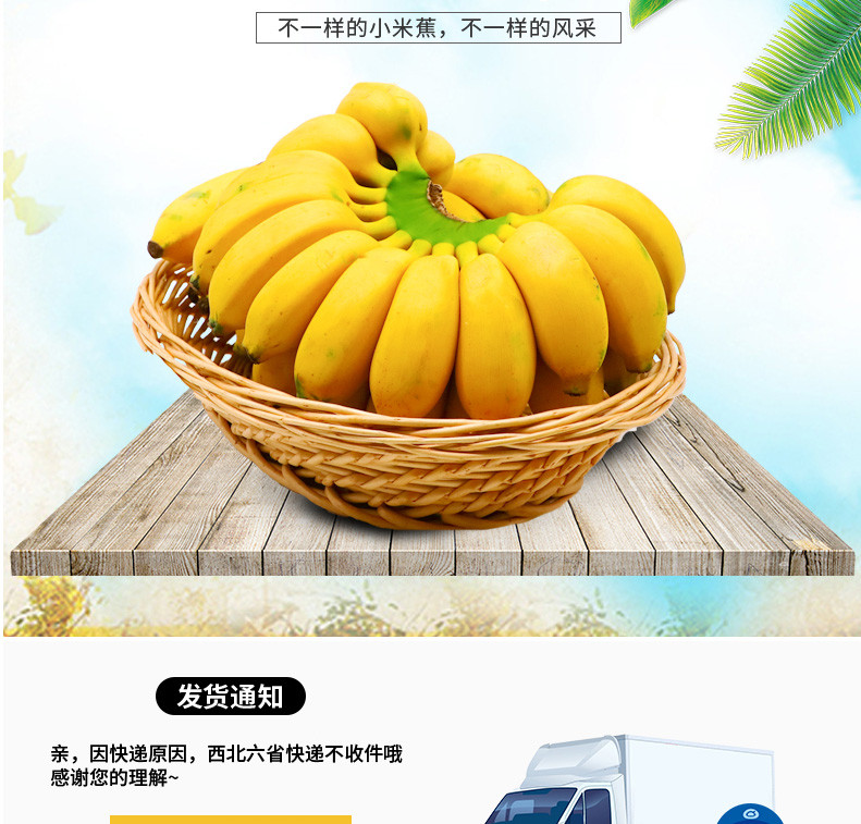 【48小时发货】甜香蕉大香蕉带箱10斤新鲜水果应季批发包邮非芭蕉小米蕉