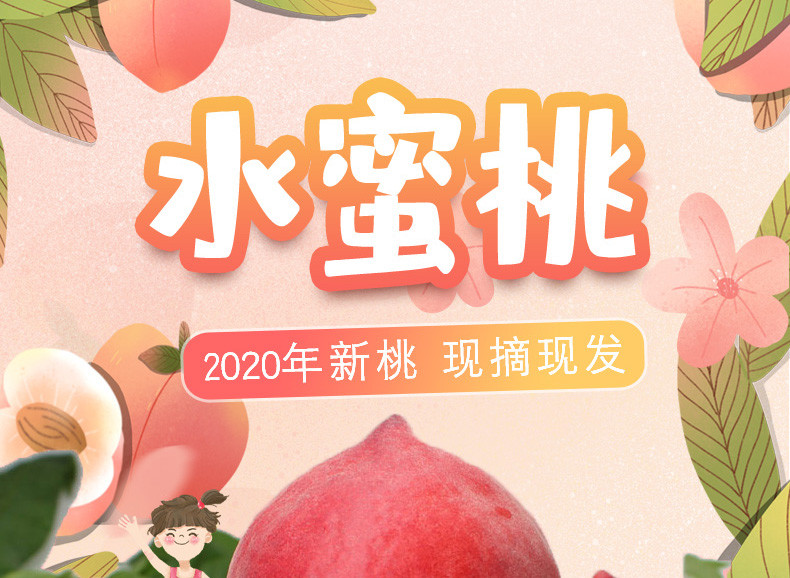 2020现摘现货甜蜜水蜜桃5斤脆甜桃子新鲜当季孕妇水果雪桃毛桃