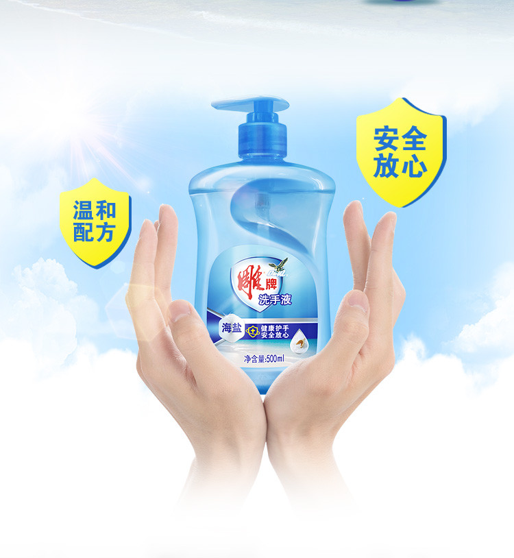 雕牌海盐洗手液500ml*4瓶加雕牌抑菌洗手液245ml*2瓶YH